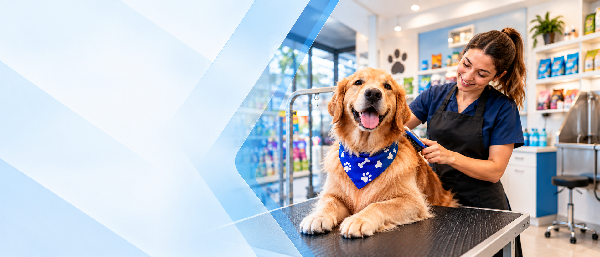 Cachorro em atendimento em um Pet Shop