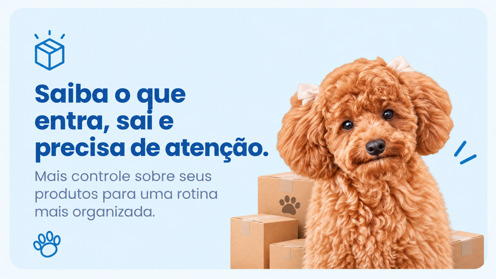 Saiba o que entra, sai e precisa de atenção