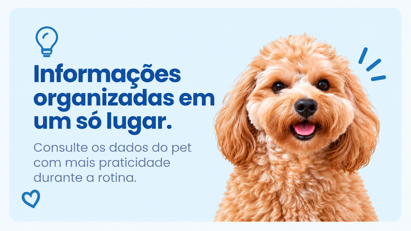 Informações organizadas em um só lugar